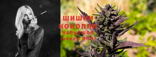 индика Беломорск