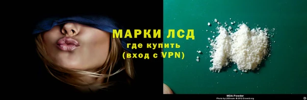 индика Беломорск